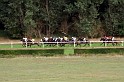 Ascot Renntag09   078